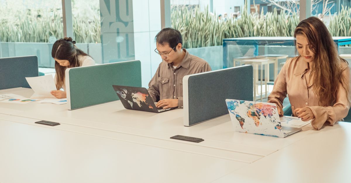 People working on laptops in a bright coworking space with natural light and wooden furnishings