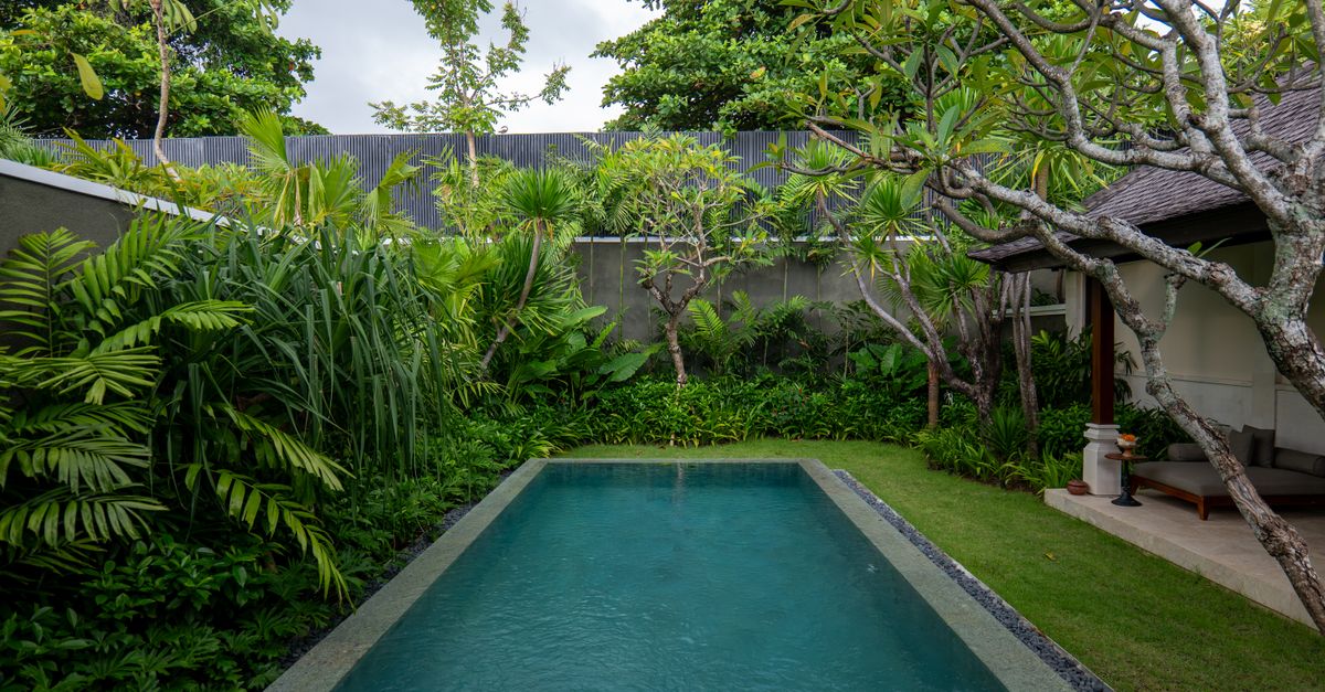 A private infinity pool villa surrounded by lush tropical greenery in Bali, Indonesia