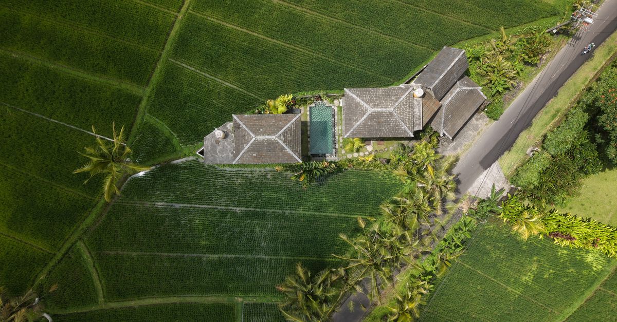 Aerial shot of a traditional villa surrounded by lush rice fields in Bali, Indonesia.