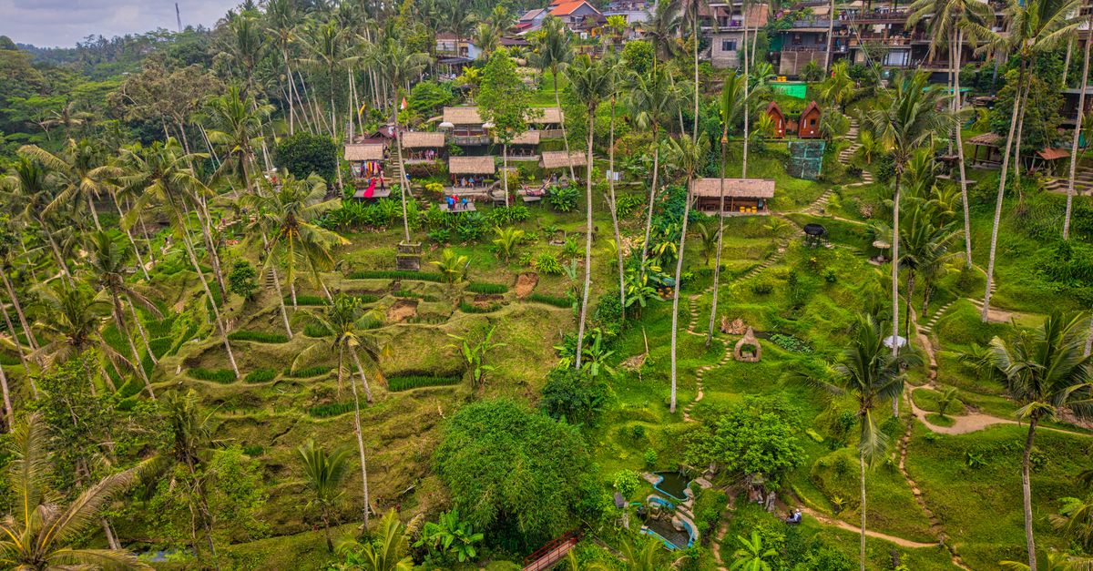 Aerial view of the Tegallalang rice terraces near Ubud, Bali, with traditional huts among lush green fields