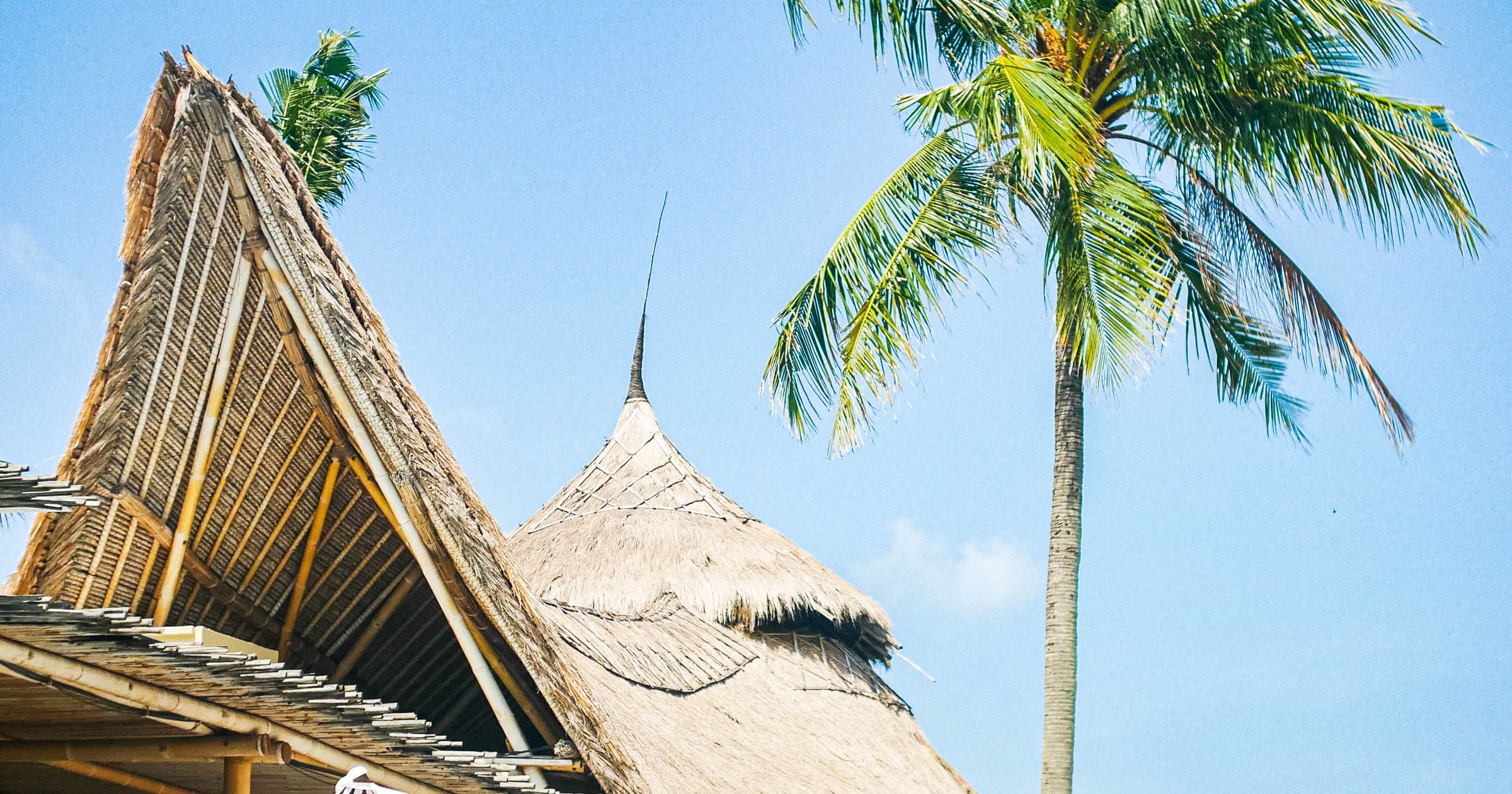 Exotic tropical beach villa surrounded by palm trees and poolside tranquillity