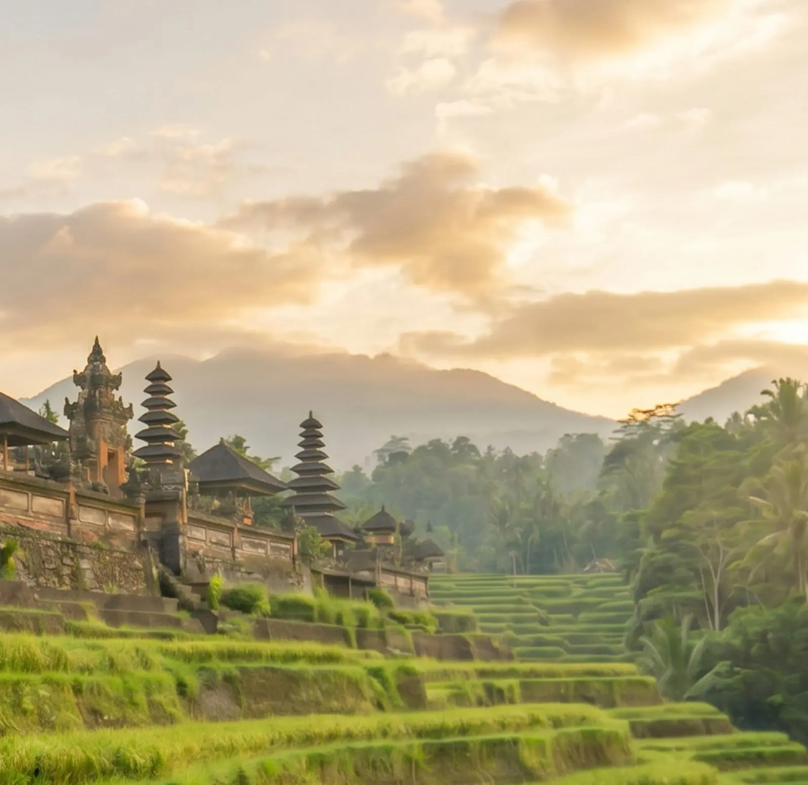 Plan Your Visit: A Travel Guide to Bali’s Best Regions and Beaches