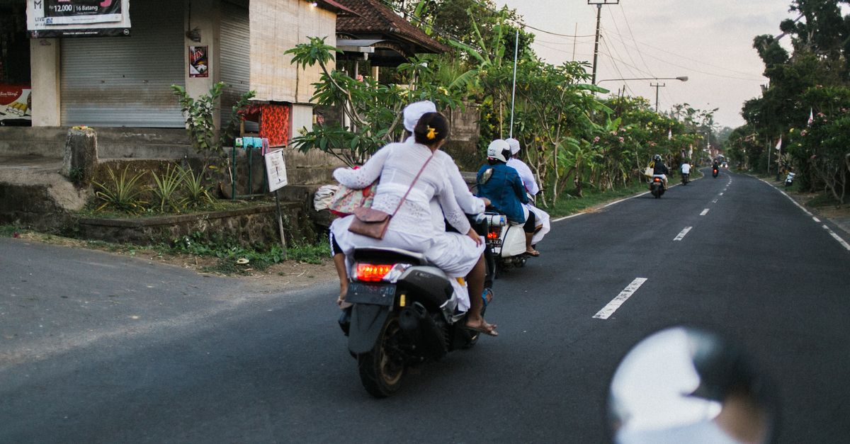 A person riding a scooter along a tree-lined road in Bali