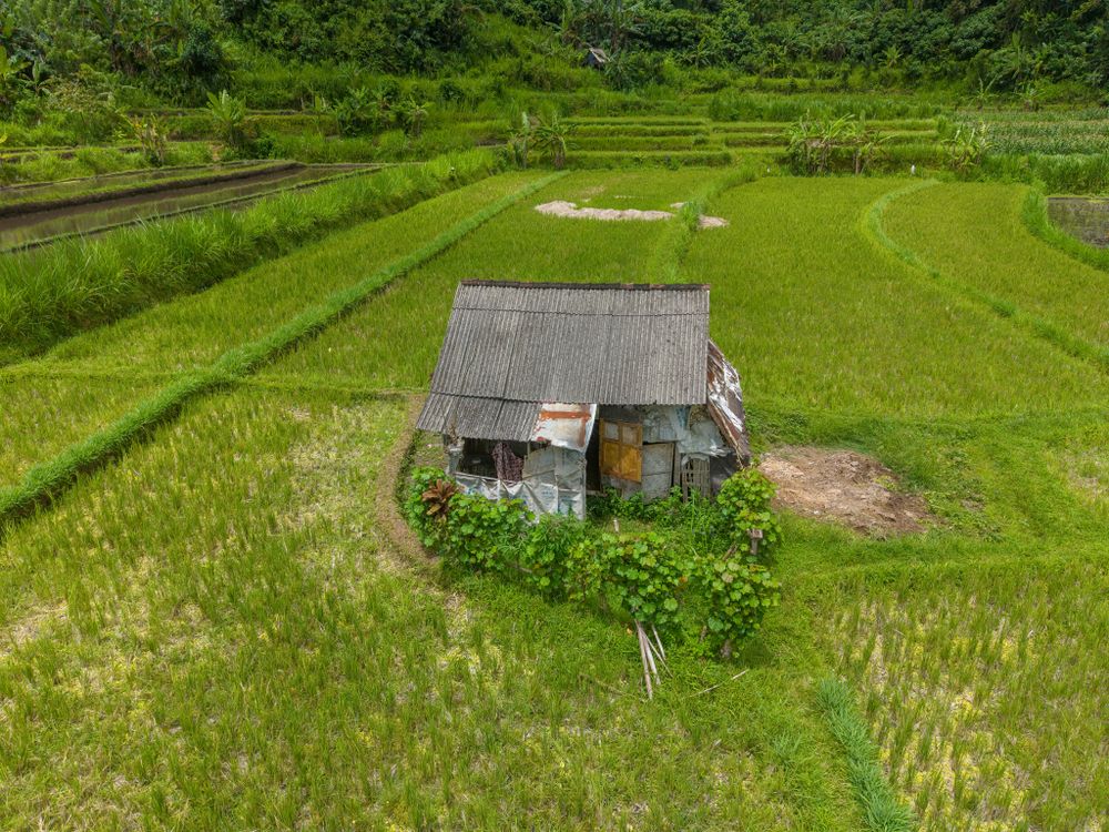 A rustic hut nestled among Bali's rice fields — the quieter, less glamorous side of island life that becomes your everyday view