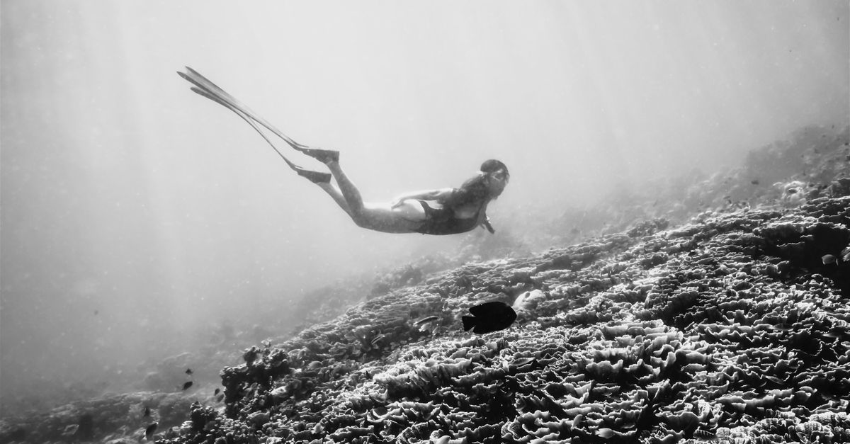 A captivating black and white shot of a diver exploring Bali's coral reefs. Perfect for oceanic themes.