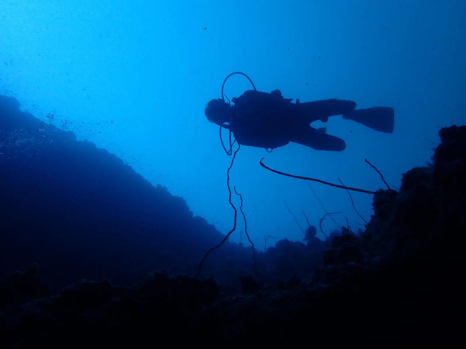 Snorkelling and Diving in Bali: The Best Spots and What to Expect