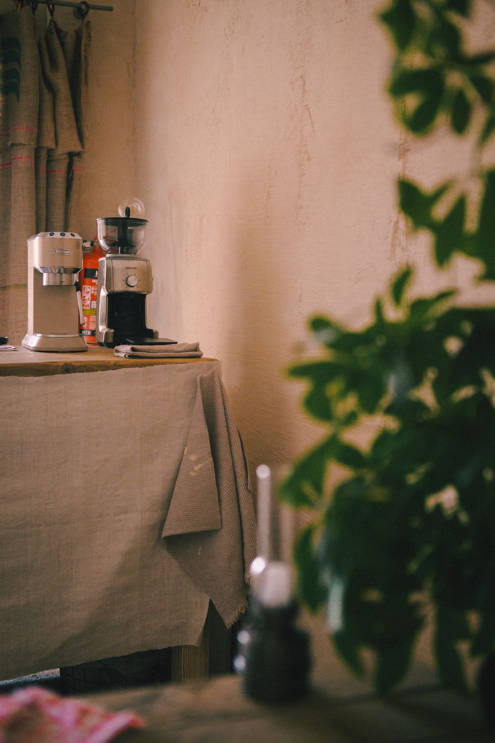 A person working on a laptop in a Bali café with tropical plants in the background