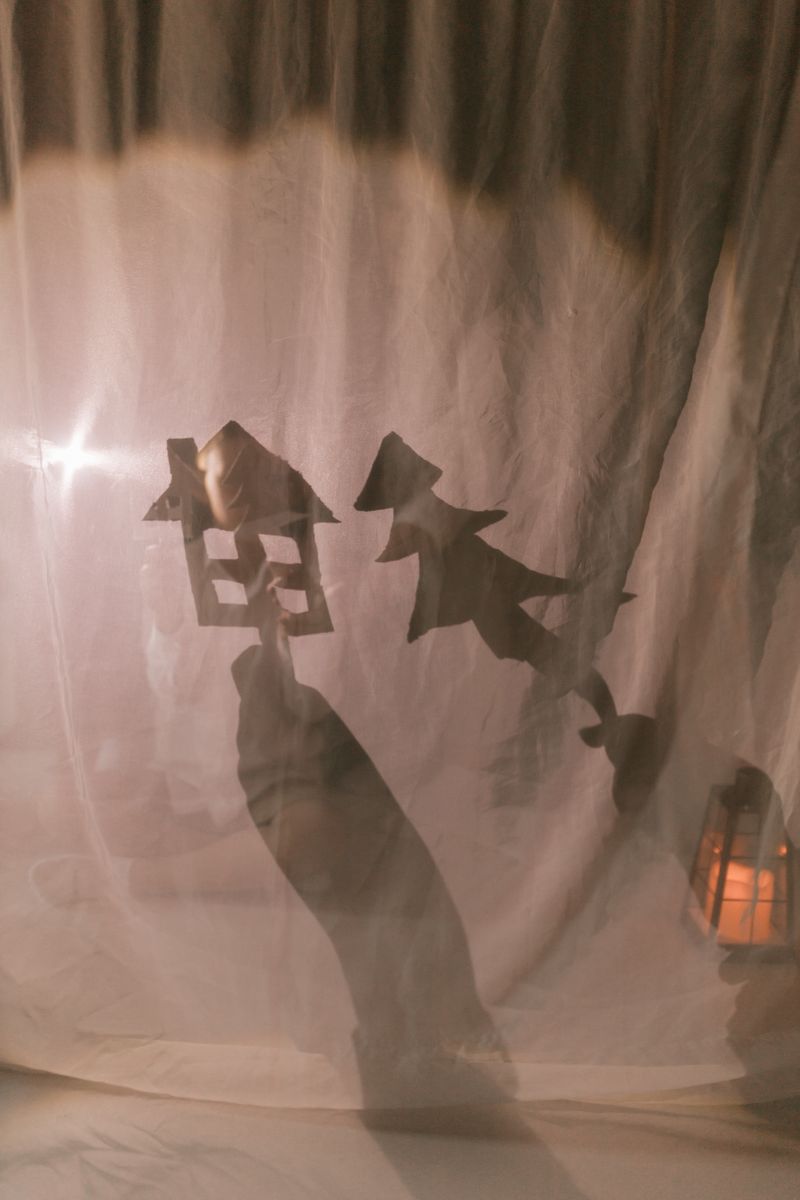 Shadow puppets cast against a backlit screen, evoking the magical atmosphere of a wayang kulit performance